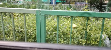  Plot For Sale in Sector 46