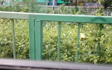 Plot For Sale in Sector 46