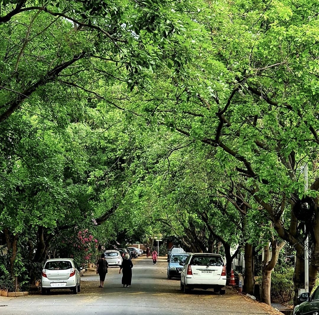 रेसिडेन्शियल प्लॉट वर्ग यार्ड फॉर रीसेल इन एचएसआर लेआउट बैंगलोर  7522813