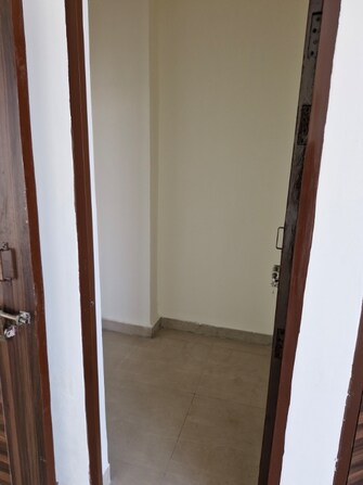 3 BHK Apartment For Rent in Penta Homes Vip Road Zirakpur  7522991