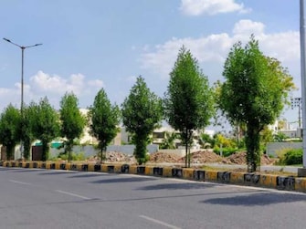 Commercial Land 2000 Sq.Ft. For Resale in Ujjain Road Indore  7523139