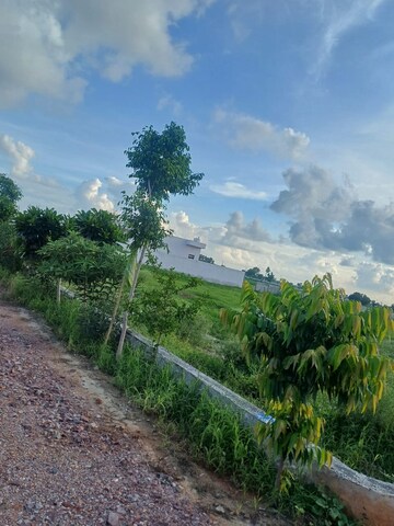 Plot Area in  Plot at Upsidc Site B – for Sale