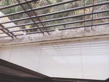 Balcony in 2 BHK Apartment at Marigold 5, Mira Road – for Sale