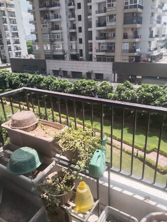 3 BHK Apartment For Rent in Homes 121 Sector 121 Noida  7523628