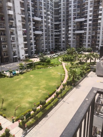 3 BHK Apartment For Rent in Homes 121 Sector 121 Noida  7523628