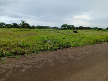 Plot Area in  Plot at Pathardi – for Sale