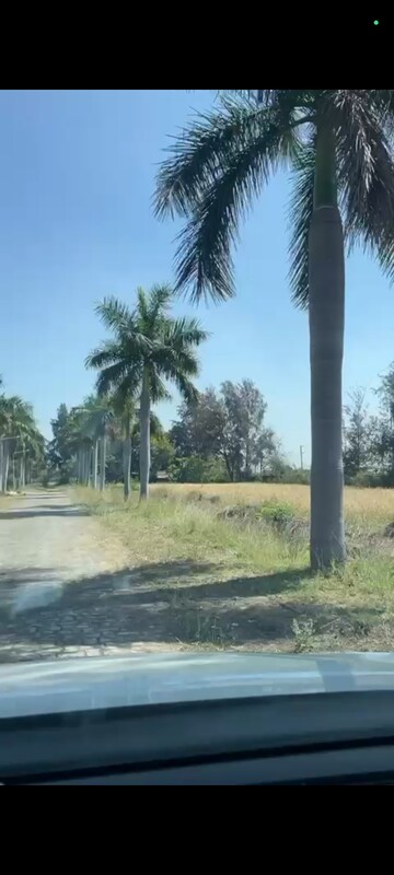  Plot For Sale in Hoshangabad Road