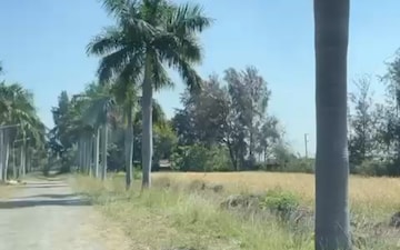Plot For Sale in Hoshangabad Road