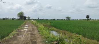 Plot For Resale in Danish Nagar Bhopal  7505465