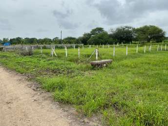 Plot For Resale in Pimpalgaon Bahula Nashik  7524480