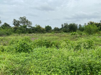 Plot For Resale in Pimpalgaon Bahula Nashik  7524480