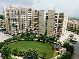 3 BHK Apartment For Resale in Highland Park Chandigarh Bhabat Zirakpur  7524675