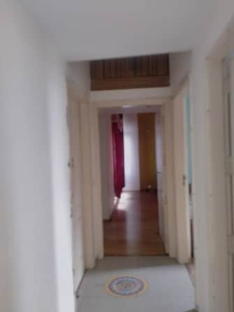 2 BHK Apartment For Rent in Ashirwad Apartments Alpha 1 Alpha 1 Greater Noida Greater Noida  7524734