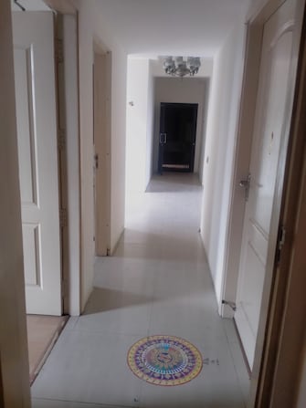 2 BHK Apartment For Rent in Ashirwad Apartments Alpha 1 Alpha 1 Greater Noida Greater Noida  7524734