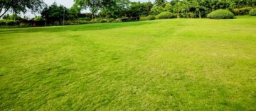  Plot For Sale in Shri Ram Enclave, Jagatpura