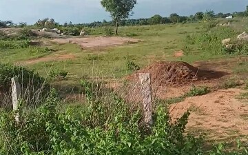 Land For Sale in Springfield Gajwel Crown, Pragnapur