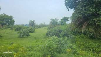 Commercial Land 2 Acre For Resale in Chas Bokaro Steel City  7525697