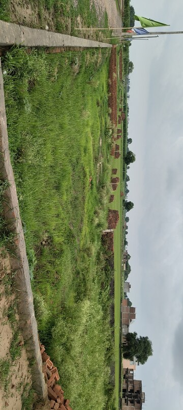 Plot Area in  Plot at Upsidc Site B – for Sale