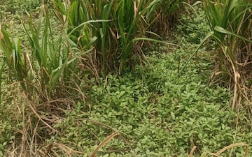 Plot For Sale in Thaltej