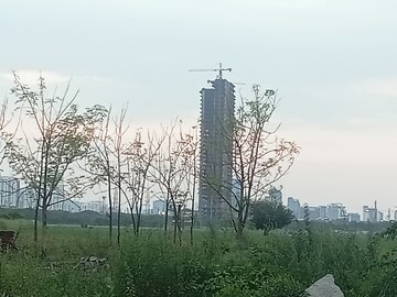  Plot – Exterior View View at Sector 82 - for Sale
