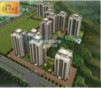 3 BHK Apartment For Rent in Tulip Orange Sector 70 Gurgaon  7527013