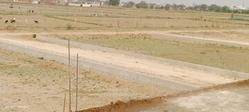 Plot Area in  Plot at Dhanauli – for Sale