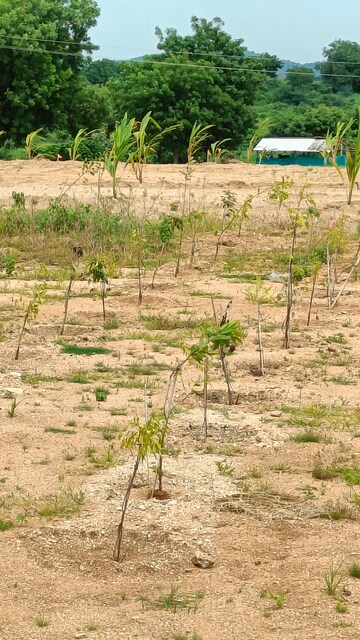 Plot Area in  Plot at Bibinagar – for Sale