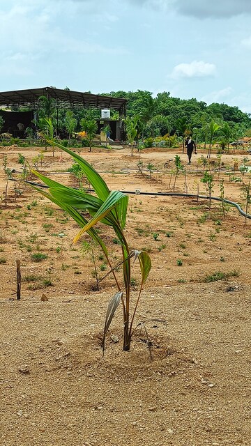 Plot Area in  Plot at Bibinagar – for Sale