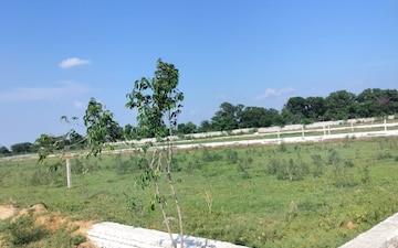 Plot For Sale in Deedarganj