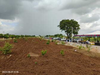 Plot For Resale in Sector 84 Faridabad  7527606