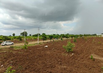 Plot For Resale in Sector 84 Faridabad  7527606