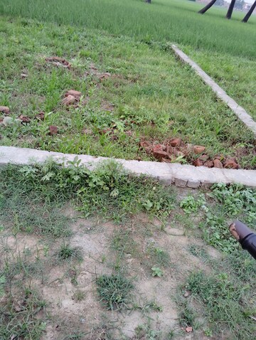 Plot Area in  Plot at Ramnagar – for Sale