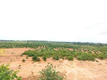 Commercial Industrial Plot 100 Acre For Resale in Narsapura Bangalore  7528763