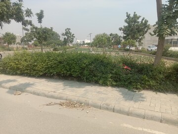 Plot Area in  Plot at DLF Central Square, New Chandigarh – for Sale