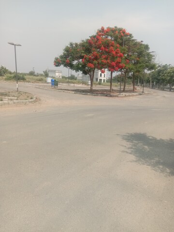  Plot – Exterior View View at DLF Central Square, New Chandigarh - for Sale
