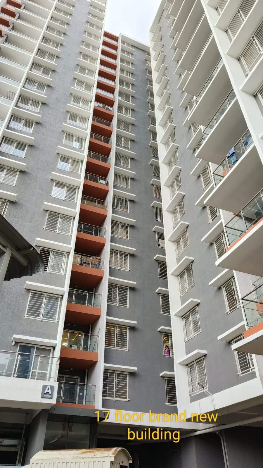 2 BHK Apartment For Rent in Shree Venkatesh Graffiti Glover Keshav Nagar Pune  7528963