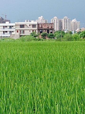  Plot – Exterior View View at Altus Prime, North Mullanpur - for Sale