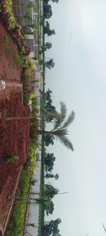  Plot – Garden View at Sri Bhumi Eeshaanya, Kankipadu - for Sale