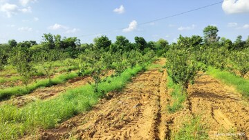  Plot For Sale in Sushant Lok I