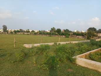 Plot For Resale in Aliganj Lucknow  7529615