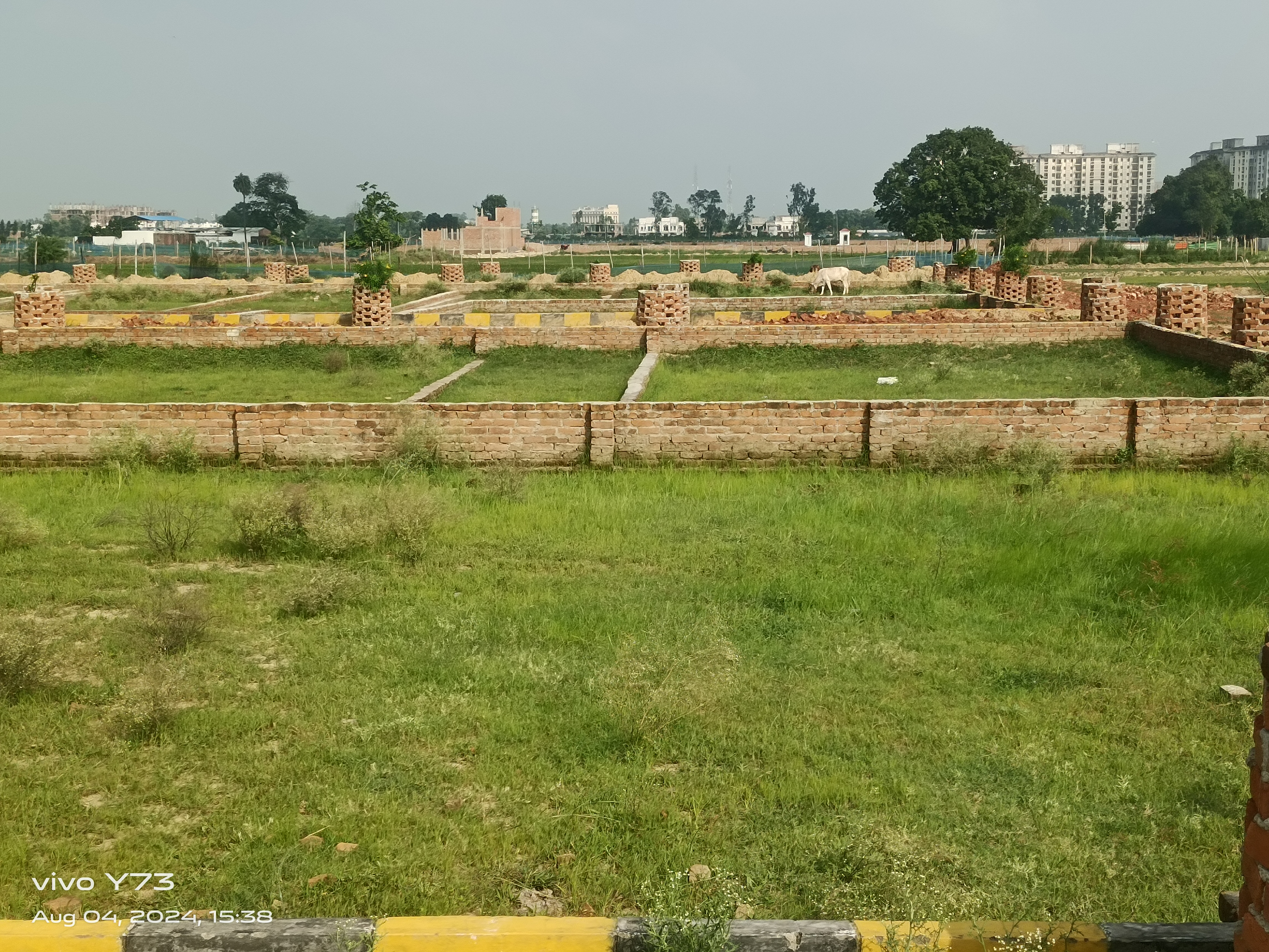 Plot For Resale in Faizabad Road Lucknow  7529869