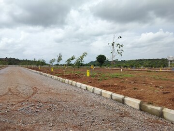 Plot Area in  Plot at Budhera – for Sale