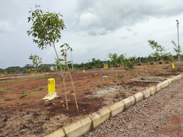 Plot Area in  Plot at Budhera – for Sale