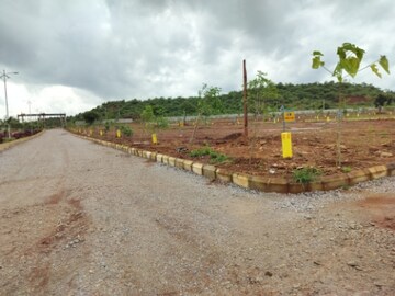 Plot Area in  Plot at Budhera – for Sale