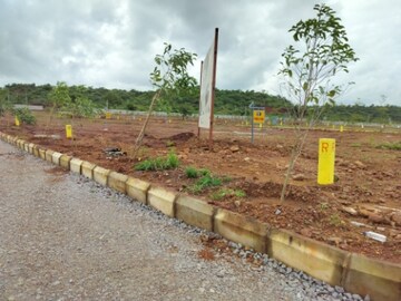 Plot Area in  Plot at Budhera – for Sale