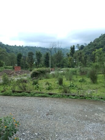 Plot For Resale in Sahastradhara Road Dehradun  7529926