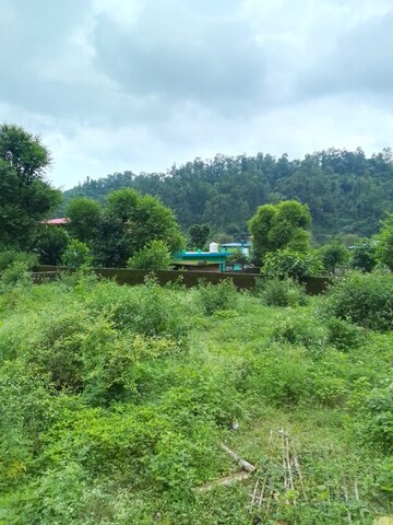  Plot – Garden View at Sahastradhara Road - for Sale
