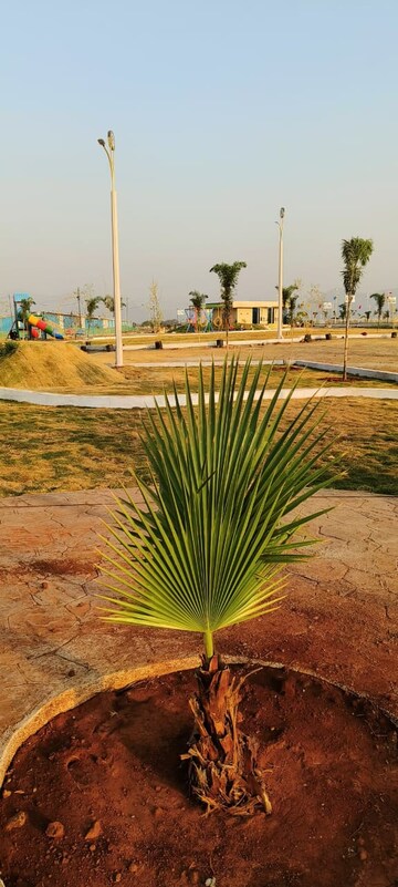  Plot – Exterior View View at The Riyasat Sankalp, Lodhivali - for Sale