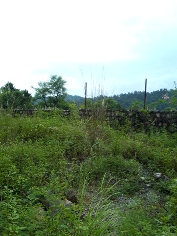  Plot For Sale in Sahastradhara Road