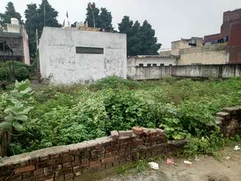 Plot For Resale in Asola Delhi  7530546